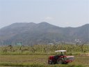 田植えの準備