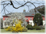 小石川植物園