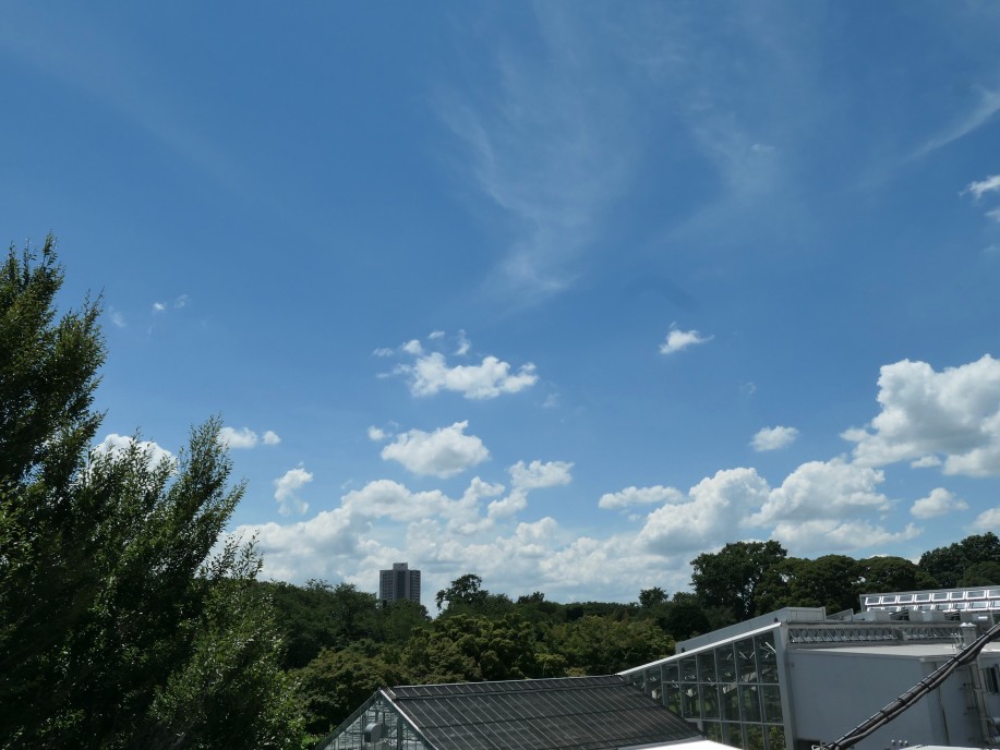 梅雨明け後に広がる夏空