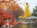 山形運動公園