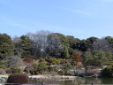 ２月の庭園