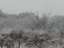 １２月の初雪 H14.12