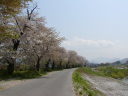 郷愁をそそる白水川の堤の風景