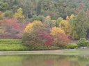 公園の秋