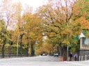 赤坂迎賓館の側の安珍坂