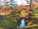 兼六園の小川