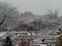 12月初旬の雪景色