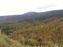 色づき始める吾妻山の木々