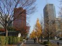 丸の内の初冬の風景