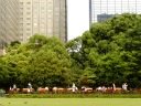 昼下がりの日比谷公園