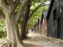 酒田の山居倉庫