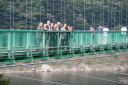 くのもみじ谷大吊橋10/14